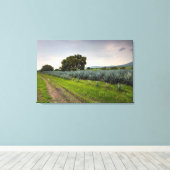 Landschaft von Blue Agave Leinwanddruck (Insitu (Holzboden))