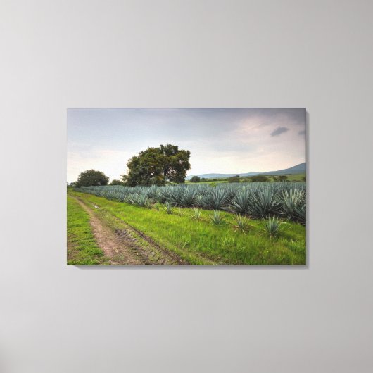 Landschaft von Blue Agave Leinwanddruck (Vorderseite)
