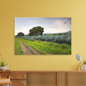 Landschaft von Blue Agave Leinwanddruck (Insitu (Wohnzimmer))