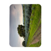 Landschaft von Blue Agave Magnet (Vertikal)