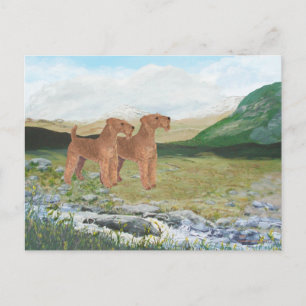 Landschaft von Connemara Postkarte