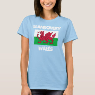 Landschaft, Wales mit walisischer Flagge T-Shirt