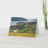 Landschaft-Wiese Einladung (Vorderseite)