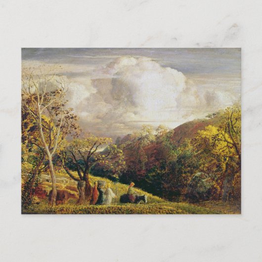 Landschaft, Zahlen und Vieh Postkarte (Vorderseite)