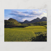 Landschaft zwischen Kaili und Qinghai, Provinz Gui Postkarte (Vorderseite)