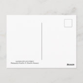 Landschaften auf Zypern Postkarte (Rückseite)