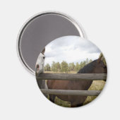 LANDSCHAFTEN MAGNET (Vorderseite/Rückseite)