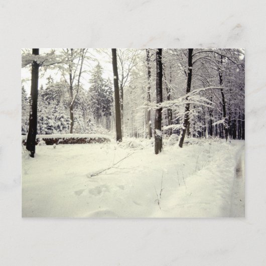 Landschaften Postkarte (Vorderseite)