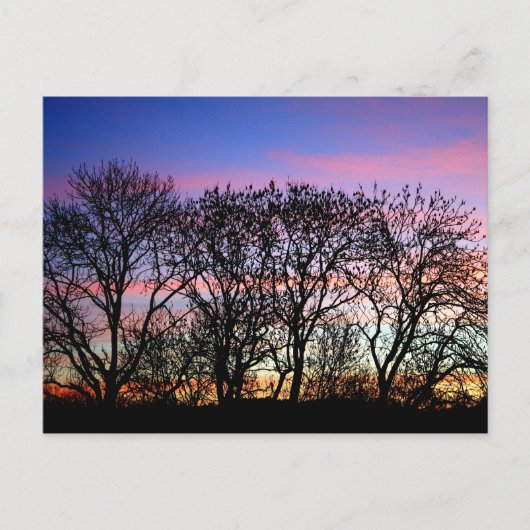 Landschaften Postkarte (Vorderseite)