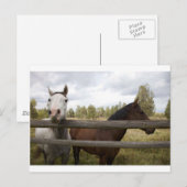 LANDSCHAFTEN POSTKARTE (Vorne/Hinten)