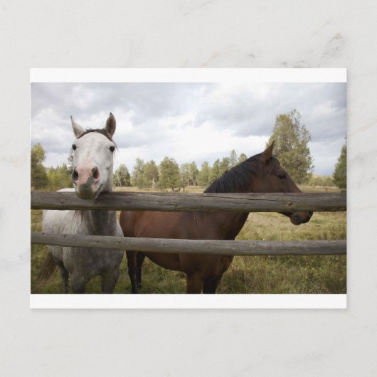 LANDSCHAFTEN POSTKARTE (Vorderseite)