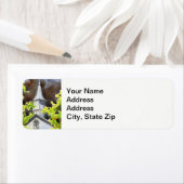 Landschaften und landschaftliche Aussichten Landki (Insitu)