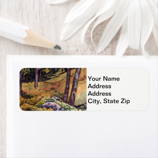 Landschaften und landschaftliches Waldgebiet. (Insitu)