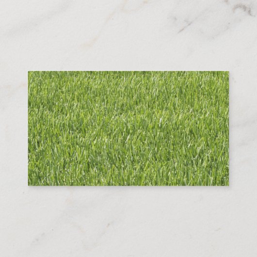 Landschaften von Visitenkarten Visitenkarte (Rückseite)