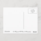 landschaftlich abstrakt postkarte (Rückseite)