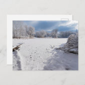 landschaftlich an Teich und Salemwald Postkarte (Vorne/Hinten)