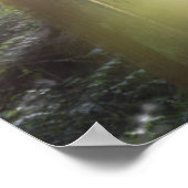 Landschaftlich Beach Staat Park Poster (Ecke)