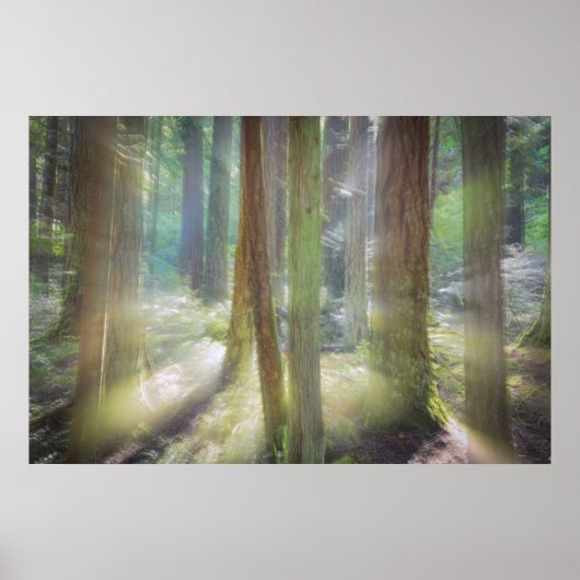 Landschaftlich Beach Staat Park Poster (Vorne)