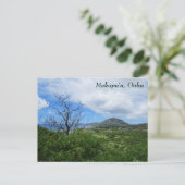 Landschaftlich Makapudau Oahu Hawaii Berge Blick a Postkarte (Stehend Vorderseite)