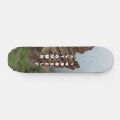 Landschaftlich Red Rocks Colorado Skateboard (Horizontal)