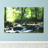 Landschaftlich River Canvas Print Leinwanddruck (Insitu (Holzboden))
