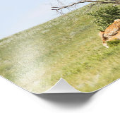 Landschaftlich Rural Saskatchewan Fotodruck (Ecke)