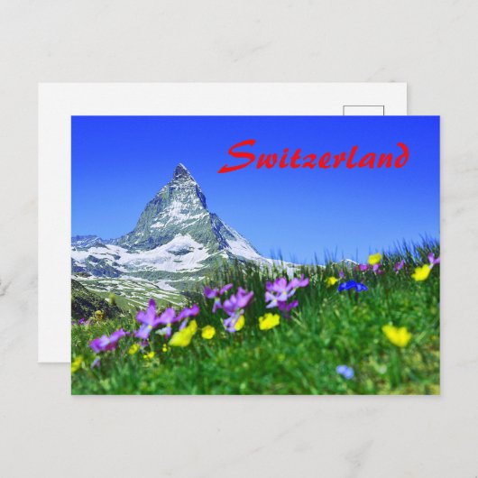 Landschaftlich Schweiz Matterhorn Postkarte (Vorne/Hinten)