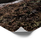 Landschaftlich Seascape aus Schottland Poster (Ecke)