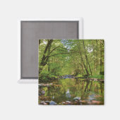 Landschaftlich vom Wilson River Magnet (Vorderseite/Rückseite)