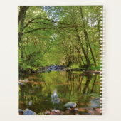 Landschaftlich vom Wilson River Planer (Rückseite)