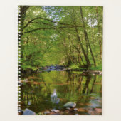 Landschaftlich vom Wilson River Planer (Vorderseite)