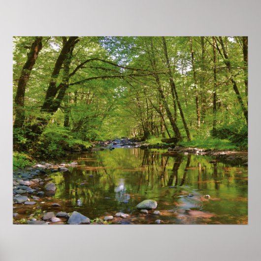 Landschaftlich vom Wilson River Poster (Vorne)