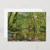 Landschaftlich vom Wilson River Postkarte (Vorne/Hinten)