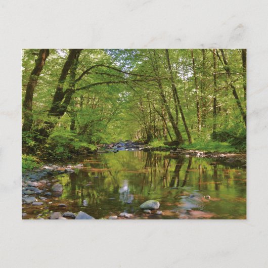 Landschaftlich vom Wilson River Postkarte (Vorderseite)