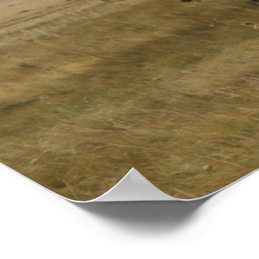 Landschaftlich Wyoming Ranch Poster (Ecke)