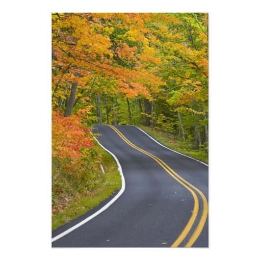 Landschaftliche Ahornbäume im Herbst Fotodruck (Vorne)