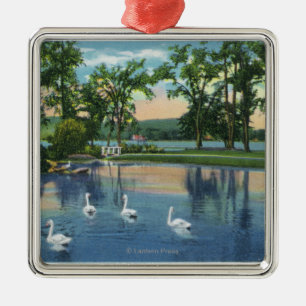 Landschaftliche Ansicht der Schwäne auf dem See Silbernes Ornament