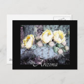Landschaftliche Arizona Cactus Blume Postkarte (Vorne/Hinten)