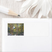 Landschaftliche Aspen-Bäume im Nationalpark Estes (Insitu)