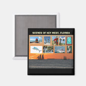 Landschaftliche Ausblicke West, Florida Magnet (Vorderseite/Rückseite)