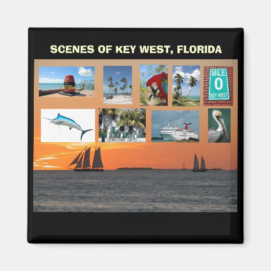 Landschaftliche Ausblicke West, Florida Magnet (Vorne)