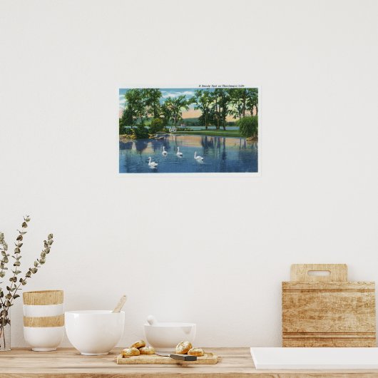 Landschaftliche Aussicht auf Schwäne am See Poster (Küche)