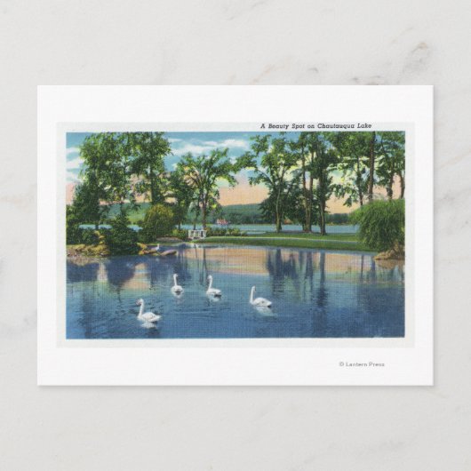 Landschaftliche Aussicht auf Schwäne am See Postkarte (Vorderseite)