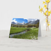 Landschaftliche Bach- und Berglandschaft, Blank im Karte (Gelbe Blume)