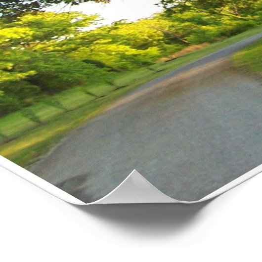 Landschaftliche Bäume 2 Poster (Ecke)