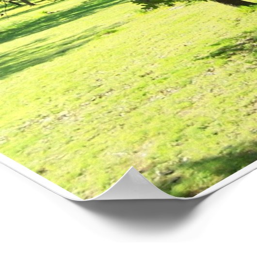 Landschaftliche Bäume Poster (Ecke)