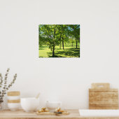 Landschaftliche Bäume Poster (Küche)