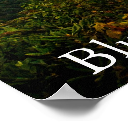 Landschaftliche Blaue Ridge Mountains Landschaftsf Poster (Ecke)