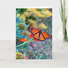 Landschaftliche Blüte und Schmetterling Karte