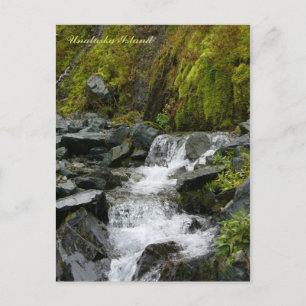 Landschaftliche Creek Falls, Insel Unalaska Postkarte